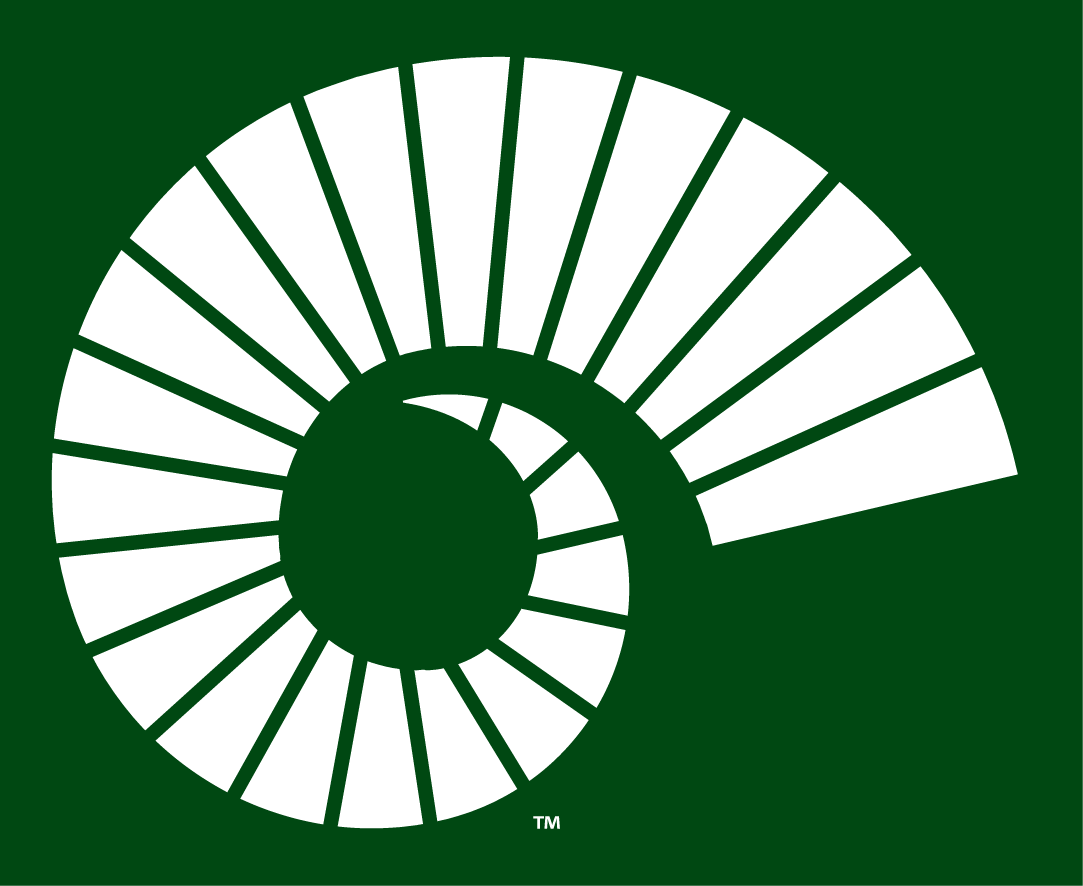 Colorado State Rams 2015-Pres Alternate Logo v3 diy fabric transfer